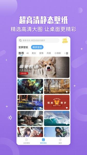 小鸟壁纸手机版