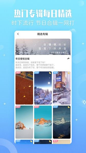 小鸟壁纸手机版