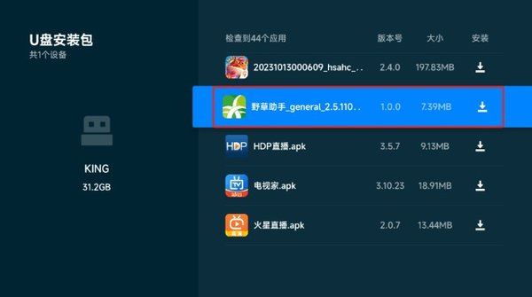 野草助手tv版如何使用指南