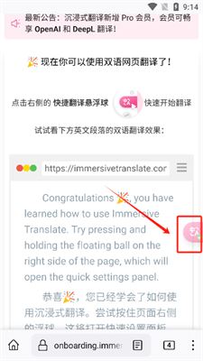 沉浸式翻译app如何使用