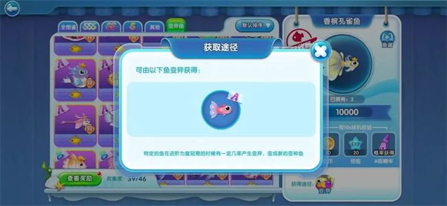 萌鱼泡泡新手攻略