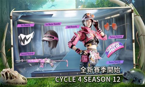 帕布鸡PUBG官方正版